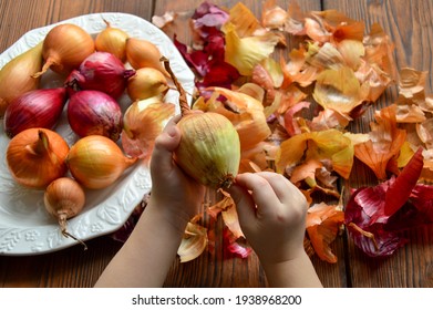 Preparing For Easter. A Child Is Peeling Onions To Paint Eggs. Onion Husk On A Wooden Background. Russian Family Traditions