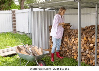 Preparing firewood for the cold season. A young girl with a wheelbarrow of firewood. A woman stacks firewood from a woodpile into a wheelbarrow. Wood heating concept and energy crisis