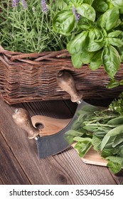 Preparing fresh herbage for cooking