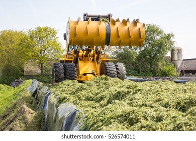 Preparing grass for grass silage