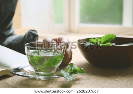preparing of herb tea with fresh lemon balm leaves