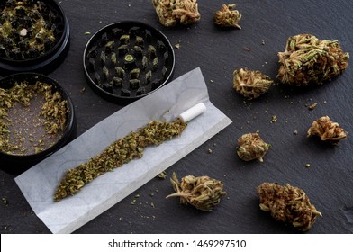 Preparing a joint and drug paraphernalia concept theme with herb girder used to grind cannabis buds and roll marijuana joints, next to rolling paper and weed bud isolated on dark background