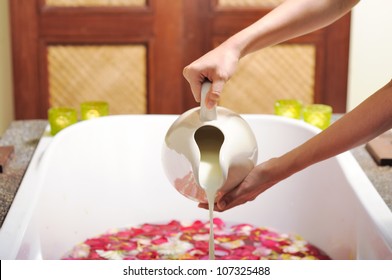 Preparing Milk Bath By Pouring Milk Inside A Bath Tub Full Of Fresh Roses, Part Of Spa Treatment.