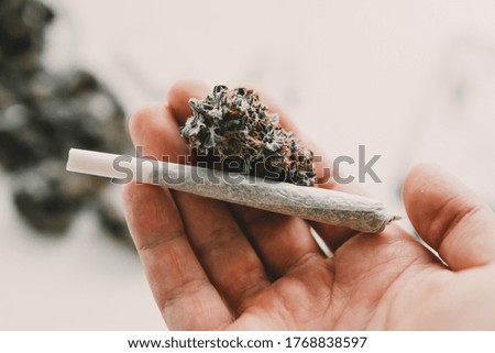 Preparing and rolling Close up of marijuana blunt with grinder. marijuana Rolling a marijuana joint.