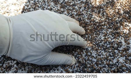 Preparing soil for planting, and fertilizing with compressed chicken manure pellets. Organic soil fertiliser
