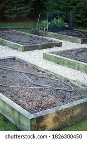 Preparing A UK Kitchen Garden In Spring Or Winter, With Freshly Dug Soil And Soaker Hose Irrigation Pipes, UK