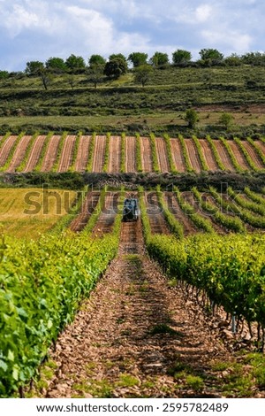 preparing the vineyards for sulfate application