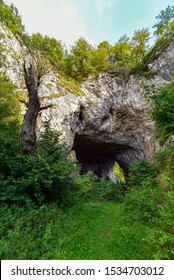 Prerast In Dobroselica, Zlatibor Serbia