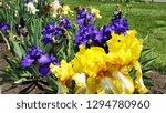 Presby Iris garden Montclair nj