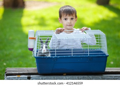 Preschool Boy Opening A Cage With A Pet Rabbit In A Park