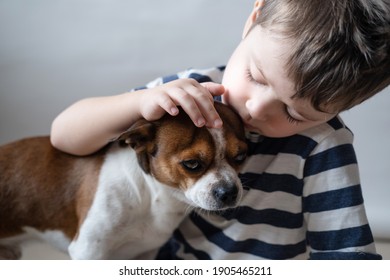 Preschool Sad Caucasian Boy With Chihuahua Dog . Close Up.