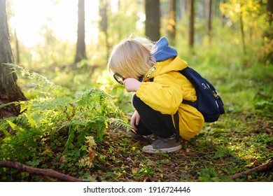 Preschooler boy is exploring nature with magnifying glass. Little child is looking on leaf of fern with magnifier. Summer vacation for inquisitive kids in forest. Hiking. Boy-scout