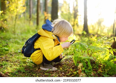 Preschooler boy is exploring nature with magnifying glass. Little child is looking on leaf of fern with magnifier. Summer vacation for inquisitive kids in forest. Hiking. Boy-scout - Shutterstock ID 2195510377