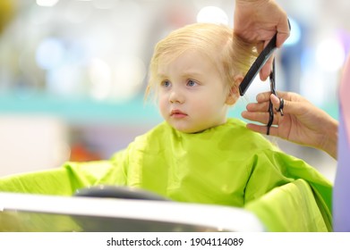 Preschooler boy getting haircut. Children hairdresser with professional tools - comb and scissors. Cutting hair for kids.