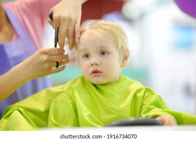 Preschooler boy getting haircut. Children hairdresser with professional tools - comb and scissors. Cutting hair for kids.
