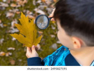 preschooler boy with glasses frame reading a book in park,leaning against the tree. kid analyzing leaf with magnifying glass.smiling cute child back to school,raised hands with backpack.relaxing kid. - Powered by Shutterstock