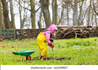 preschooler girl walking with barrow wheel trolley in garden. child helping to work with soil on backyard. small kid playing with pushing buggy and gardening tools on countryside. 