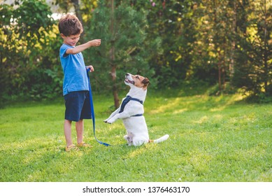 Preschooler Kid Boy Doing Dog Obedience Training Classes With His Pet