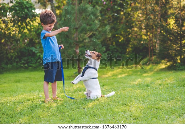 ペットと犬服従訓練をする未就学少年 の写真素材 今すぐ編集