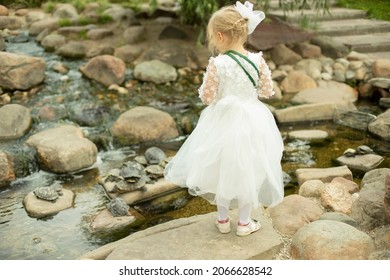 Preschooler In A White Dress. Child In The Park. The Girl Looks At The Stream. The Bridesmaid Is Walking. Child At The Party.