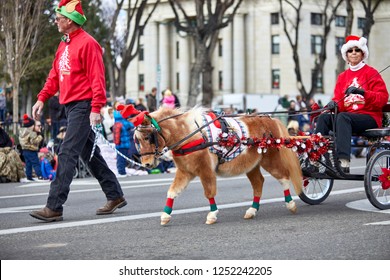 Prescott, Arizona, USA - December 1, 2018: Minature Horse Pulling A Decorated Wagon With A Woman Driving While Participating In The Christmas Parade In Downtown Prescott