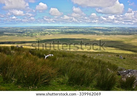 Preseli Mountain