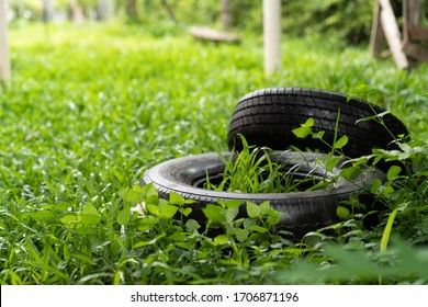 The presence of dengue vectors in discarded tires and artificial water containers in houses and peridomestic areas breeding grounds of mosquito , gnats, larvae in rain water 