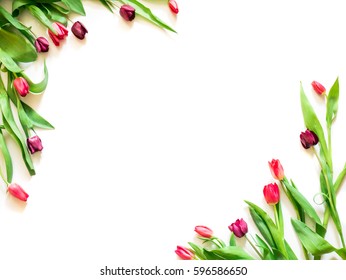 present card with tulip flowers corners template