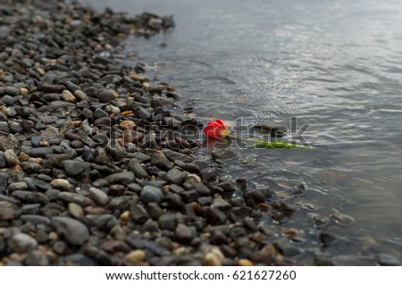 Similar – Image, Stock Photo left alone Beach Ocean