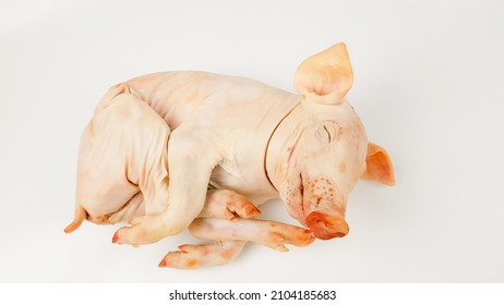 presentation of a suckling pig carcass on a white background isolate. festive piggy dishes. the piglet will be baked in the oven or on a spit. - Shutterstock ID 2104185683
