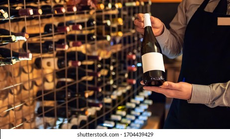 Presenting The Best Wine. Sommelier Standing In Front Of Wine Shelf And Holding A White Wine Bottle