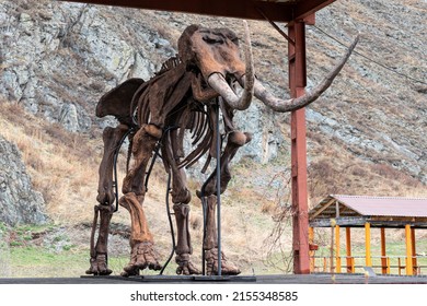 Preserved skeleton of a Mammoth against the background of the nature of the mountains