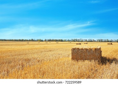 Pressed Straw Briquette In Field