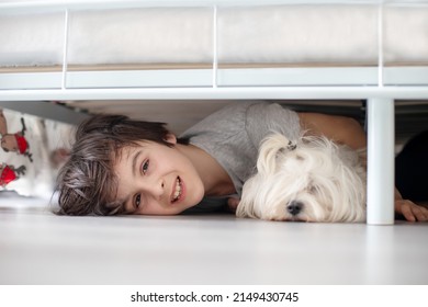  Preteen Child And Maltese Dog, Hiding Under The Bed At Home