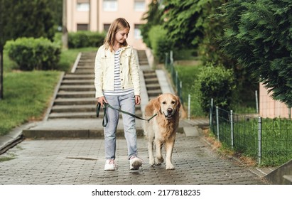 Preteen Girl With Golden Retriever Dog In Rainy Day Walking Outdoors In City Park. Cute Kid Child With Labrador Pet Doggy Outside