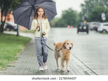 Preteen Girl Golden Retriever Dog Rainy Stock Photo 2178596437 ...