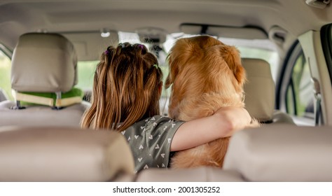 Preteen Girl Hugging Golden Retriever Dog And Sitting In The Car Inside. Child Kid With Purebred Doggy Pet In The Vehicle From The Back