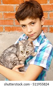 Preteen Handsome Boy Siberian Tom Cat Stock Photo 511955824 | Shutterstock