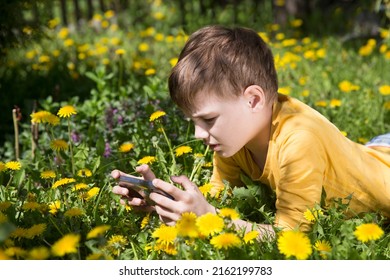 Preteen Use The Phone, Play The Game And Chatting With Friends. Mobile Internet. Preteen Boy Plays On A Smartphone Or Watches Video Lying On The Grass During The Summer Day