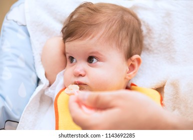 Pretty adorable 9 month old baby in a highchair is unhappy with the meal and refuses to eat complementary foods. Father's hand with a spoon.