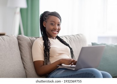 Pretty African American Young Lady With Braids Sitting On Couch At Home, Using Laptop, Watching Videos Online, Chatting With Friends Or Reading Blogs, Copy Space. Lifestyle During Covid-19 Pandemic