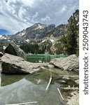 Pretty alpine lake in the Colorado rocky mountain national forest with tree view.