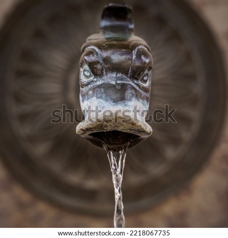Pretty antique Roman bronze fountain, with a faucet in the shape of a mythological animal. Detail of an old water fountain with classical art carving and decoration.