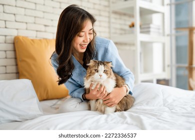 Pretty Asian woman hug cat and sit on bed with happy emotion while cat look at camera with day light. - Powered by Shutterstock