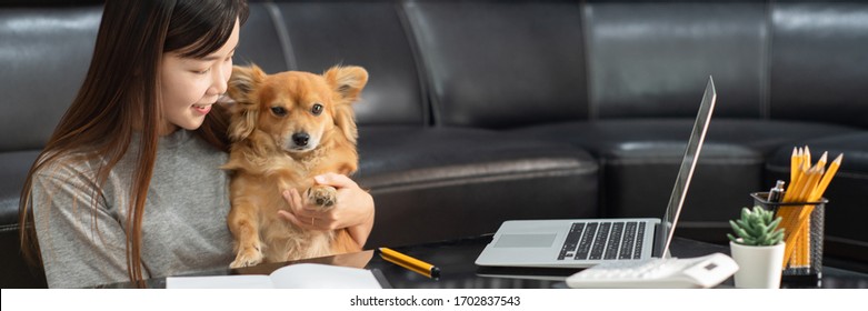 Pretty Asian Woman Working Remotely From Home Using Laptop Sitting On The Couch Or Sofa In Living Room For Work Online With Pet Puppy Cute Dog And Guardian, Work Life Balance Concept