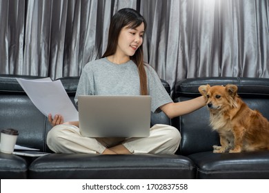 Pretty Asian Woman Working Remotely From Home Using Laptop Sitting On The Couch Or Sofa In Living Room For Work Online With Pet Puppy Cute Dog And Guardian, Work Life Balance Concept