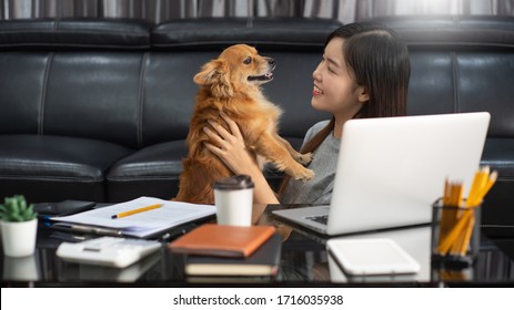 Pretty Asian Woman Working Remotely From Home Using Laptop Sitting On The Couch Or Sofa In Living Room For Work Online With Pet Puppy Cute Dog And Guardian, Work Life Balance Concept