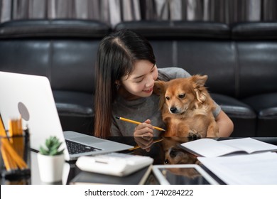 Pretty Asian Woman Working Remotely From Home Using Laptop Sitting On The Couch Or Sofa In Living Room For Work Online With Pet Puppy Cute Dog And Guardian, Work Life Balance Concept