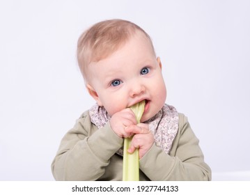 Pretty Baby Holds A Stem Of Celery, White Background