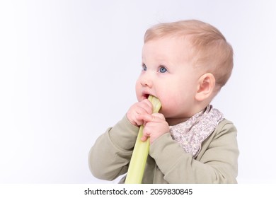 Pretty Baby Holds A Stem Of Celery, White Background